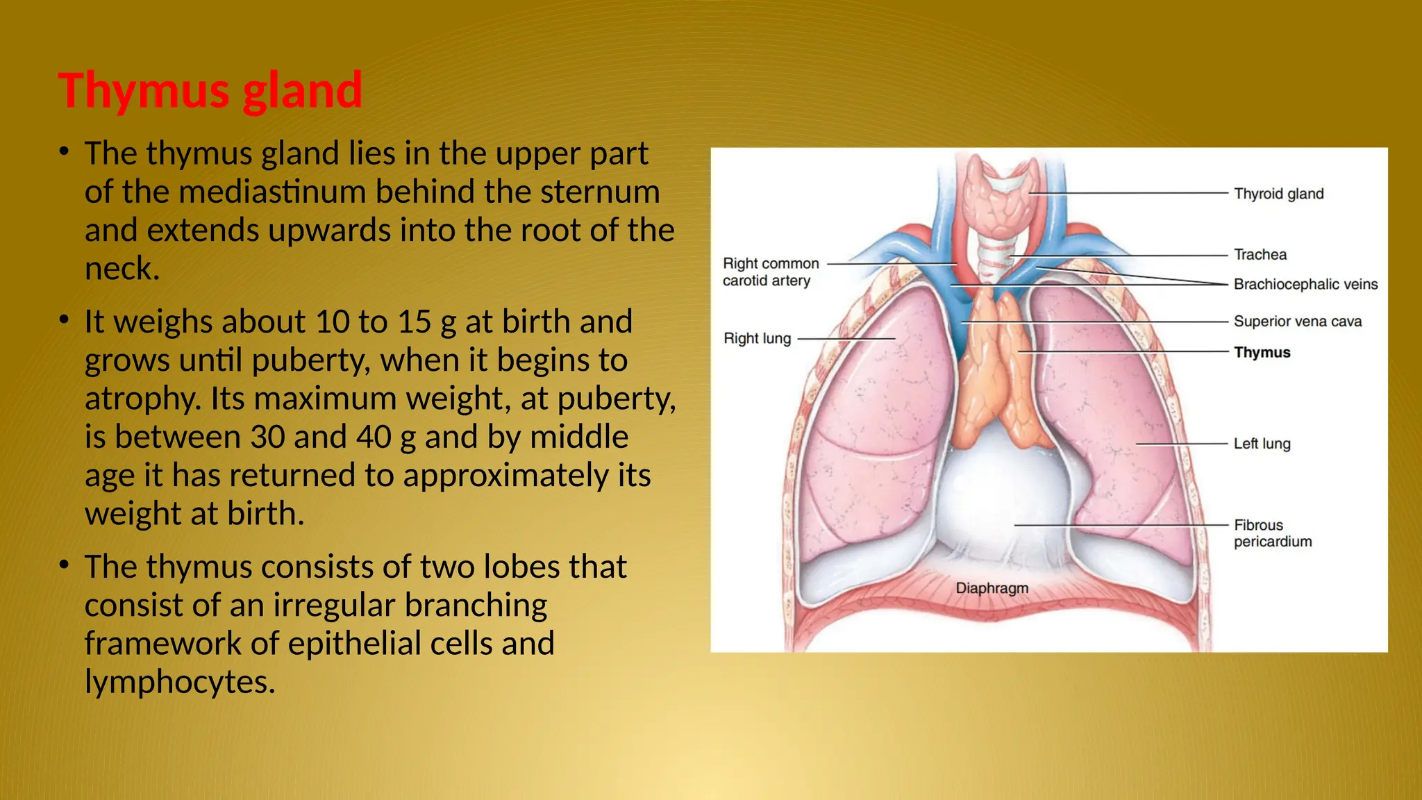lymphatic system....................pptx