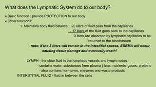 LYMPHATIC SYSTEM nursing anatomy and physiology | PDF
