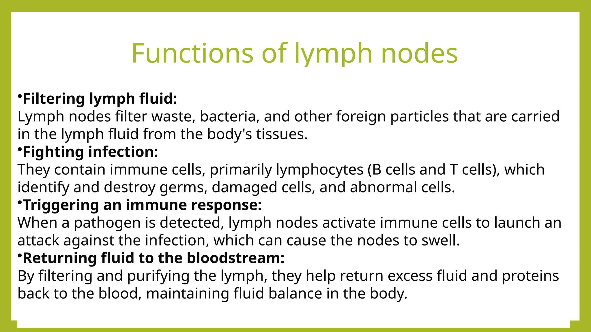 Functions of lymph nodes
•Filtering lymph fluid:
Lymph nodes filter waste, bacteria, and other foreign particles that are carried
in the lymph fluid from the body's tissues.
•Fighting infection:
They contain immune cells, primarily lymphocytes (B cells and T cells), which
identify and destroy germs, damaged cells, and abnormal cells.
•Triggering an immune response:
When a pathogen is detected, lymph nodes activate immune cells to launch an
attack against the infection, which can cause the nodes to swell.
•Returning fluid to the bloodstream:
By filtering and purifying the lymph, they help return excess fluid and proteins
back to the blood, maintaining fluid balance in the body.
 