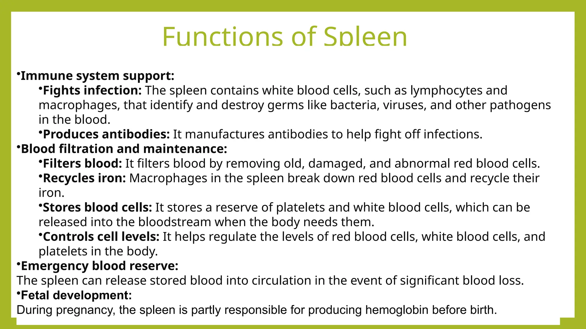 Functions of Spleen
•Immune system support:
•Fights infection: The spleen contains white blood cells, such as lymphocytes and
macrophages, that identify and destroy germs like bacteria, viruses, and other pathogens
in the blood.
•Produces antibodies: It manufactures antibodies to help fight off infections.
•Blood filtration and maintenance:
•Filters blood: It filters blood by removing old, damaged, and abnormal red blood cells.
•Recycles iron: Macrophages in the spleen break down red blood cells and recycle their
iron.
•Stores blood cells: It stores a reserve of platelets and white blood cells, which can be
released into the bloodstream when the body needs them.
•Controls cell levels: It helps regulate the levels of red blood cells, white blood cells, and
platelets in the body.
•Emergency blood reserve:
The spleen can release stored blood into circulation in the event of significant blood loss.
•Fetal development:
During pregnancy, the spleen is partly responsible for producing hemoglobin before birth.
 
