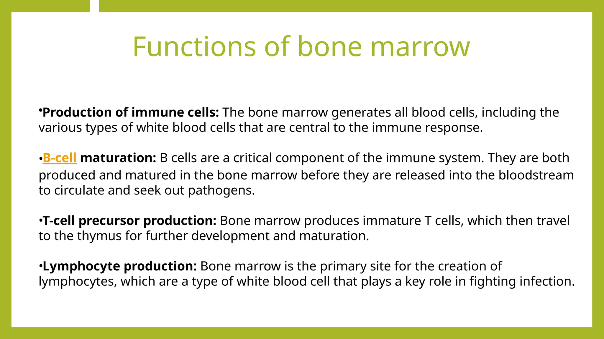 Functions of bone marrow
•Production of immune cells: The bone marrow generates all blood cells, including the
various types of white blood cells that are central to the immune response.
•B-cell maturation: B cells are a critical component of the immune system. They are both
produced and matured in the bone marrow before they are released into the bloodstream
to circulate and seek out pathogens.
•T-cell precursor production: Bone marrow produces immature T cells, which then travel
to the thymus for further development and maturation.
•Lymphocyte production: Bone marrow is the primary site for the creation of
lymphocytes, which are a type of white blood cell that plays a key role in fighting infection.
 