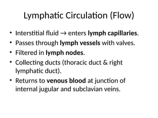 Comprehensive Overview of the Human Lymphatic System: Anatomy, Function ...