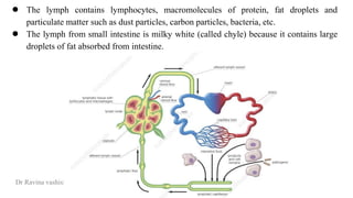 Lymph Absorption Comprehensive Overview of the Human Lymphatic System and Related ...