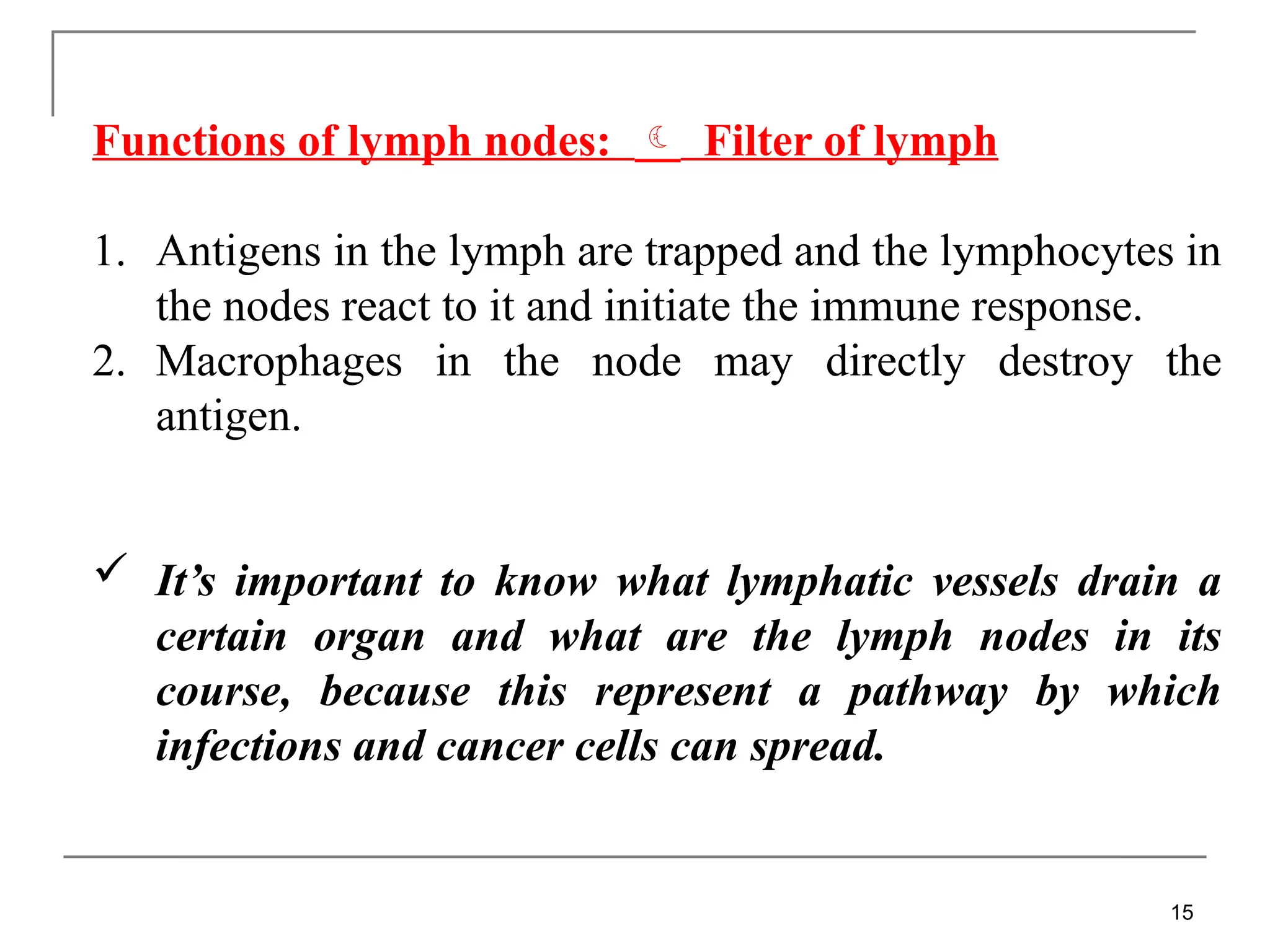 Functions of lymph nodes:  Filter of lymph
1. Antigens in the lymph are trapped and the lymphocytes in
the nodes react to it and initiate the immune response.
2. Macrophages in the node may directly destroy the
antigen.
 It’s important to know what lymphatic vessels drain a
certain organ and what are the lymph nodes in its
course, because this represent a pathway by which
infections and cancer cells can spread.
15
 