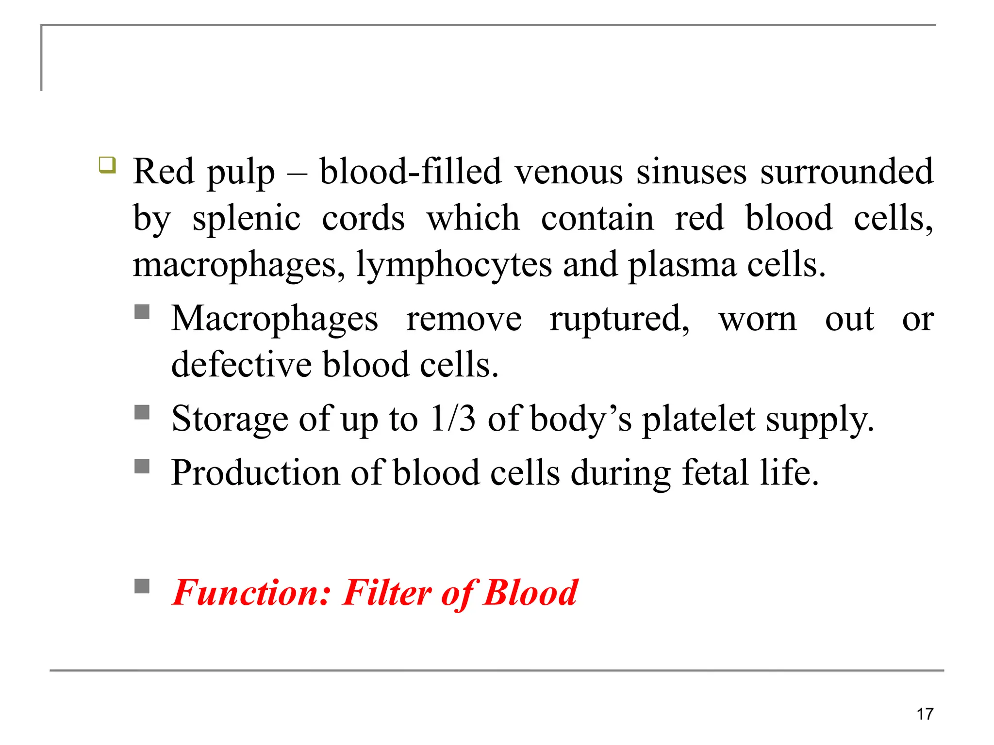  Red pulp – blood-filled venous sinuses surrounded
by splenic cords which contain red blood cells,
macrophages, lymphocytes and plasma cells.
 Macrophages remove ruptured, worn out or
defective blood cells.
 Storage of up to 1/3 of body’s platelet supply.
 Production of blood cells during fetal life.
 Function: Filter of Blood
17
 