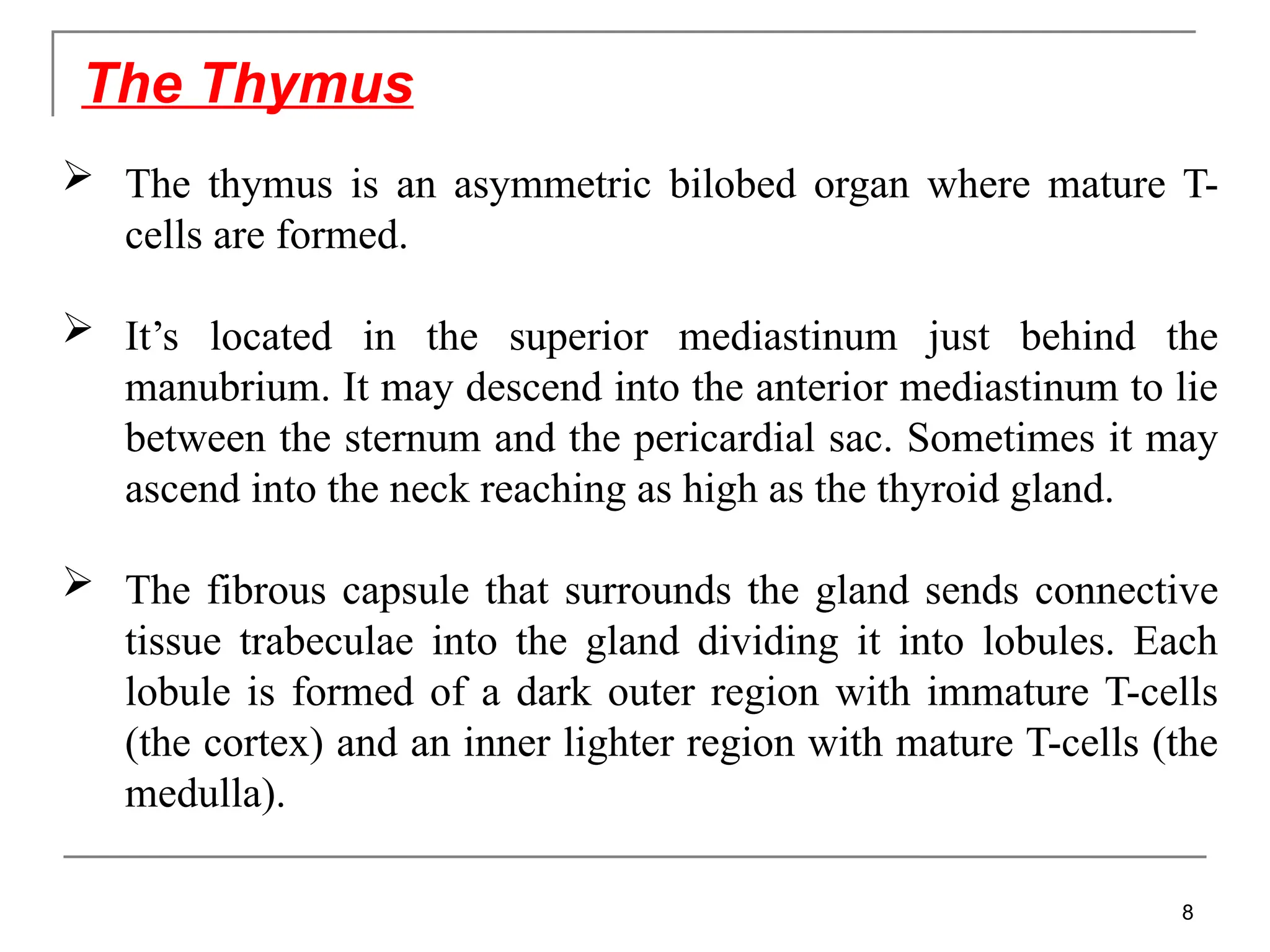 The Thymus
 The thymus is an asymmetric bilobed organ where mature T-
cells are formed.
 It’s located in the superior mediastinum just behind the
manubrium. It may descend into the anterior mediastinum to lie
between the sternum and the pericardial sac. Sometimes it may
ascend into the neck reaching as high as the thyroid gland.
 The fibrous capsule that surrounds the gland sends connective
tissue trabeculae into the gland dividing it into lobules. Each
lobule is formed of a dark outer region with immature T-cells
(the cortex) and an inner lighter region with mature T-cells (the
medulla).
8
 