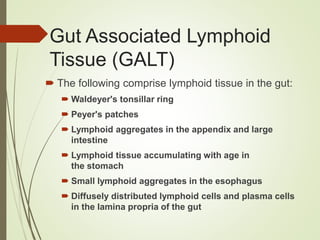 Gut Associated Lymphoid
Tissue (GALT)
 The following comprise lymphoid tissue in the gut:
 Waldeyer's tonsillar ring
 Peyer's patches
 Lymphoid aggregates in the appendix and large
intestine
 Lymphoid tissue accumulating with age in
the stomach
 Small lymphoid aggregates in the esophagus
 Diffusely distributed lymphoid cells and plasma cells
in the lamina propria of the gut
 
