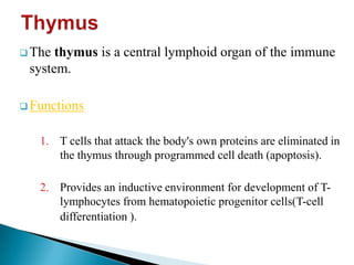 Lymphatic system2007 pps | PPSX