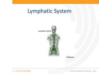 Document Title (Editable via ‘Slide Master’) | Page 1
Lymphatic System
 