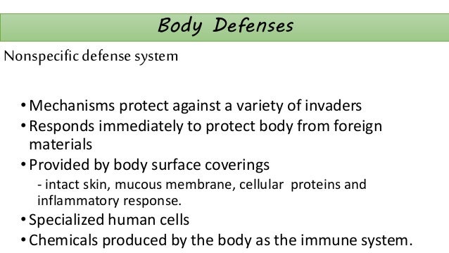 Human Anatomy And Physiology Lymphatic System And Body