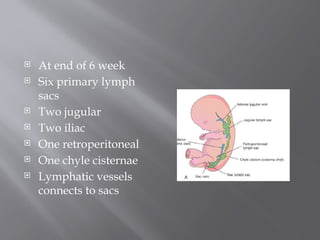 Lymphatic Sac Development lymphatic system+ conducting system+ fetal , neonatal circulation.pptx