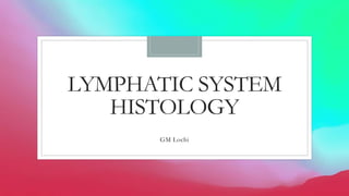 LYMPHATIC SYSTEM
HISTOLOGY
GM Lochi
 