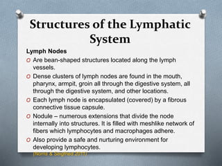 Structures of the Lymphatic
System
Lymph Nodes
O Are bean-shaped structures located along the lymph
vessels.
O Dense clusters of lymph nodes are found in the mouth,
pharynx, armpit, groin all through the digestive system, all
through the digestive system, and other locations.
O Each lymph node is encapsulated (covered) by a fibrous
connective tissue capsule.
O Nodule – numerous extensions that divide the node
internally into structures. It is filled with meshlike network of
fibers which lymphocytes and macrophages adhere.
O Also provide a safe and nurturing environment for
developing lymphocytes.
(Norris & Seigfried 2011)
 