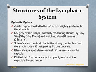 Structures of the Lymphatic
System
Splendid Spleen
O A solid organ, located to the left of and slightly posterior to
the stomach.
O Roughly oval in shape, normally measuring about 1 by 3 by
5 in (3 by 8 by 13 cm) and weighing about 8 ounces
(23grams).
O Spleen’s structure is similar to the kidney , to the liver and
the lymph nodes. Enveloped by fibrous capsule.
O It has hilus, a spot where several diff. vessels cross the
capsule.
O Divided into functional subunits by outgrowths of the
capsule’s fibrous tissue.
(Norris & Seigfried
2011)
 