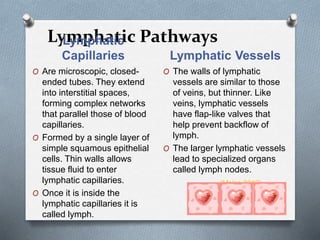 Lymphatic PathwaysLymphatic
Capillaries Lymphatic Vessels
O Are microscopic, closed-
ended tubes. They extend
into interstitial spaces,
forming complex networks
that parallel those of blood
capillaries.
O Formed by a single layer of
simple squamous epithelial
cells. Thin walls allows
tissue fluid to enter
lymphatic capillaries.
O Once it is inside the
lymphatic capillaries it is
called lymph.
O The walls of lymphatic
vessels are similar to those
of veins, but thinner. Like
veins, lymphatic vessels
have flap-like valves that
help prevent backflow of
lymph.
O The larger lymphatic vessels
lead to specialized organs
called lymph nodes.
(Moles 2012)
 
