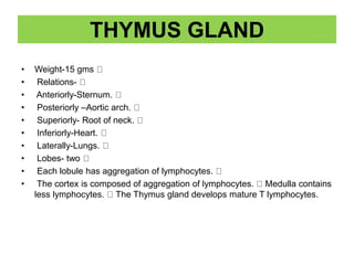 THYMUS GLAND
• Weight-15 gms
• Relations-
• Anteriorly-Sternum.
• Posteriorly –Aortic arch.
• Superiorly- Root of neck.
• Inferiorly-Heart.
• Laterally-Lungs.
• Lobes- two
• Each lobule has aggregation of lymphocytes.
• The cortex is composed of aggregation of lymphocytes. Medulla contains
less lymphocytes. The Thymus gland develops mature T lymphocytes.
 