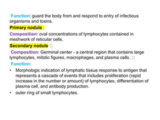 Function: guard the body from and respond to entry of infectious
organisms and toxins.
Primary nodule
Composition: oval concentrations of lymphocytes contained in
meshwork of reticular cells.
Secondary nodule
Composition: Germinal center - a central region that contains large
lymphocytes, mitotic figures, macrophages, and plasma cells.
Function:
• Morphologic indication of lymphatic tissue response to antigen that
represents a cascade of events that includes proliferation (rapid
increase in the number or amount) of lymphocytes, differentiation of
plasma cell, and antibody production.
• outer ring of small lymphocytes.
 