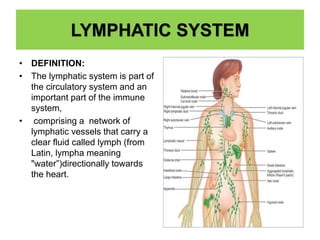 LYMPHATIC SYSTEM
• DEFINITION:
• The lymphatic system is part of
the circulatory system and an
important part of the immune
system,
• comprising a network of
lymphatic vessels that carry a
clear fluid called lymph (from
Latin, lympha meaning
"water”)directionally towards
the heart.
 