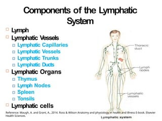 Components of the Lymphatic
System
24
 Lymph
 Lymphatic Vessels
🞑 Lymphatic Capillaries
🞑 Lymphatic Vessels
🞑 Lymphatic Trunks
🞑 Lymphatic Ducts
 Lymphatic Organs
🞑 Thymus
🞑 Lymph Nodes
🞑 Spleen
🞑 Tonsils
 Lymphatic cells
Reference: Waugh, A. and Grant, A., 2014. Ross & Wilson Anatomy and physiology in health and illness E-book. Elsevier
Health Sciences.
 