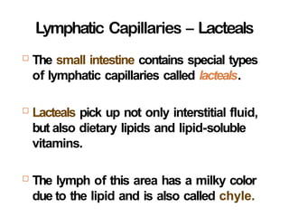 Lymphatic Capillaries – Lacteals
24-
 The small intestine contains special types
of lymphatic capillaries called lacteals.
 Lacteals pick up not only interstitial fluid,
but also dietary lipids and lipid-soluble
vitamins.
 The lymph of this area has a milky color
due to the lipid and is also called chyle.
 