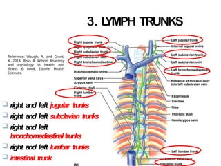 3. L
YMPH TRUNKS
 right and left jugular trunks
 right and left subclavian trunks
 right and left
bronchomediastinaltrunks
 right and left lumbar trunks
 intestinal trunk
Reference: Waugh, A. and Grant,
A., 2014. Ross & Wilson Anatomy
and physiology in health and
illness E- book. Elsevier Health
Sciences.
 