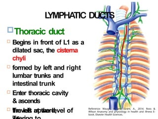 ,
Thoracic duct
 Begins in front of L1 as a
dilated sac, the cisterna
chyli
 formed by left and right
lumbar trunks and
intestinal trunk
 Enter thoracic cavity
& ascends
 Travels upward,
the left at the level of
L
YMPHA
TIC DUCTS
Reference: Waugh, A. and Grant, A., 2014. Ross &
Wilson Anatomy and physiology in health and illness E-
book. Elsevier Health Sciences.
 