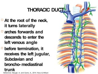 THORACIC DUCT…..
 At the root of the neck,
it turns laterally
 arches forwards and
descends to enter the
left venous angle
 before termination, it
receives the left jugular,
Subclavian and
broncho- mediastinal
trunk
Reference: Waugh, A. and Grant, A., 2014. Ross & Wilson
 