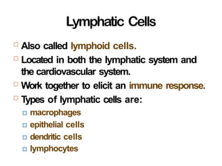 Lymphatic Cells
24-
 Also called lymphoid cells.
 Located in both the lymphatic system and
the cardiovascular system.
 Work together to elicit an immune response.
 Types of lymphatic cells are:
🞑 macrophages
🞑 epithelial cells
🞑 dendritic cells
🞑 lymphocytes
 