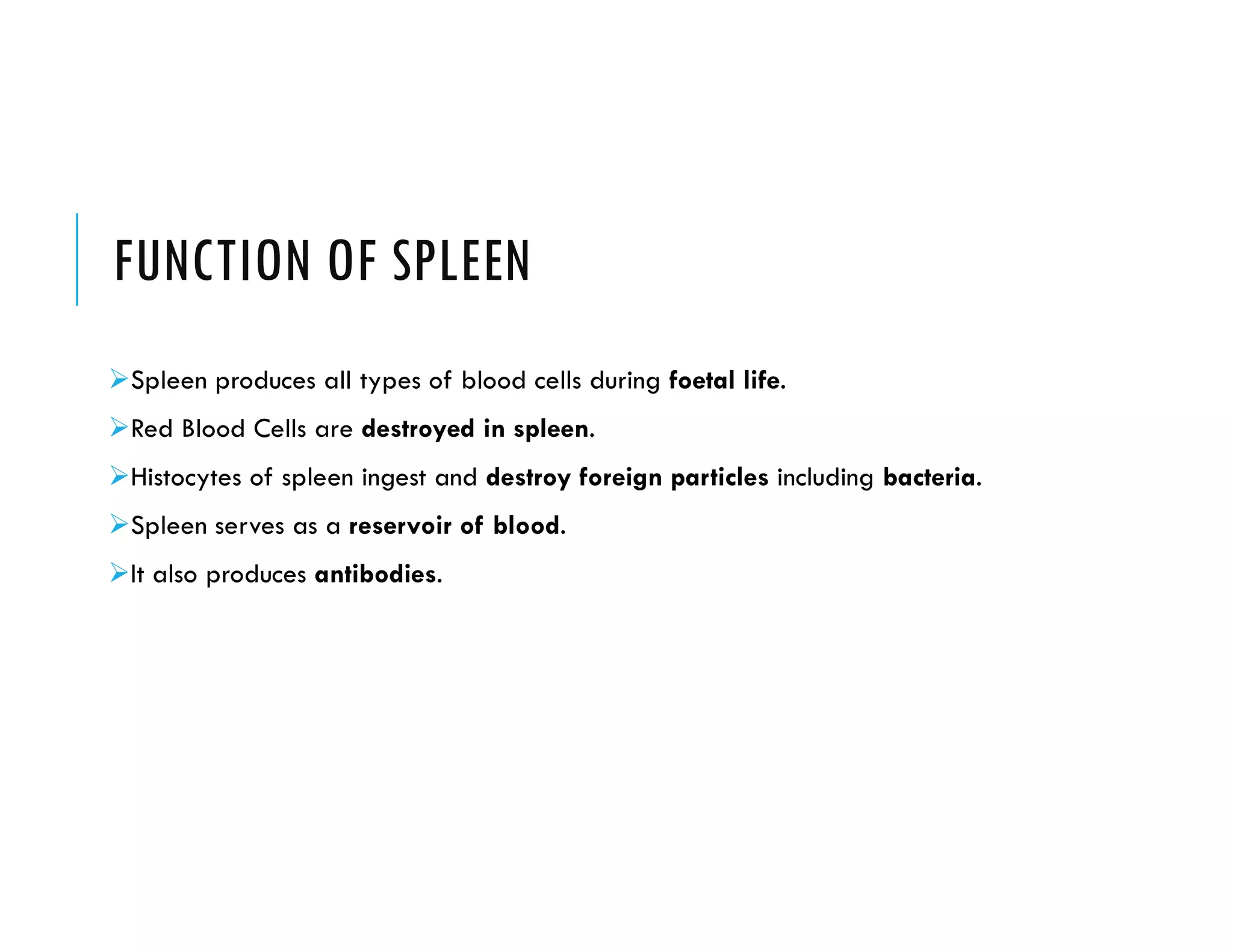 FUNCTION OF SPLEEN
Spleen produces all types of blood cells during foetal life.
Red Blood Cells are destroyed in spleen.
Histocytes of spleen ingest and destroy foreign particles including bacteria.
Spleen serves as a reservoir of blood.
It also produces antibodies.
 