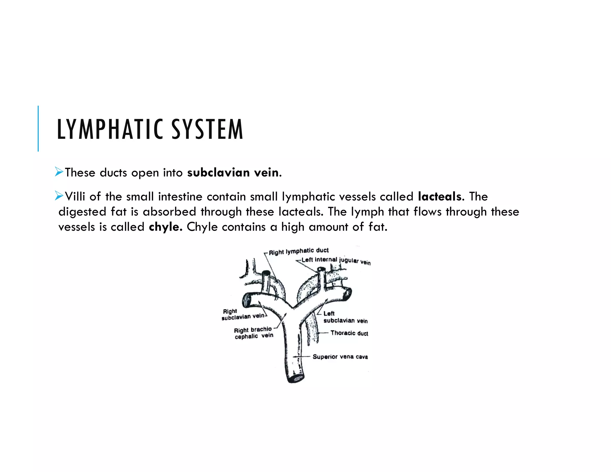 LYMPHATIC SYSTEM
These ducts open into subclavian vein.
Villi of the small intestine contain small lymphatic vessels called lacteals. The
digested fat is absorbed through these lacteals. The lymph that flows through these
vessels is called chyle. Chyle contains a high amount of fat.
 