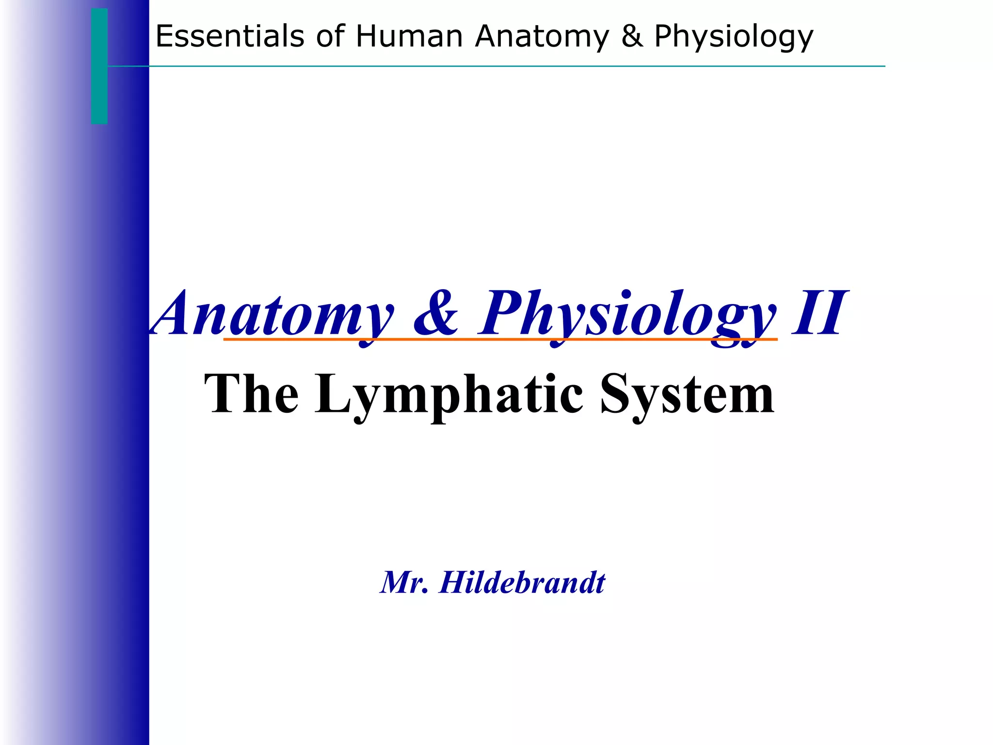 Essentials of Human Anatomy & Physiology




Anatomy & Physiology II
  The Lymphatic System


             Mr. Hildebrandt
 