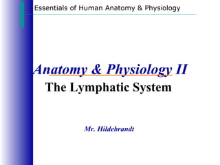 Essentials of Human Anatomy & Physiology




Anatomy & Physiology II
  The Lymphatic System


             Mr. Hildebrandt
 