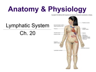 Anatomy & Physiology
Lymphatic System
Ch. 20
 