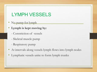 Lymphatic System