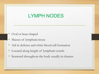 Lymphatic System