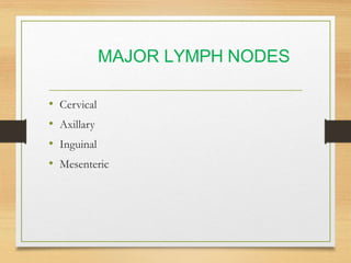Lymphatic System