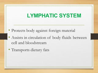 Lymphatic System
