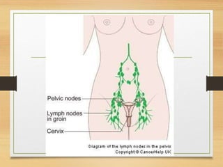 Lymphatic System