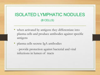 Lymphatic System