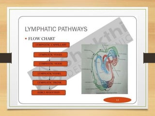 Lymphatic System
