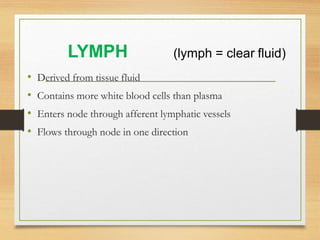 Lymphatic System