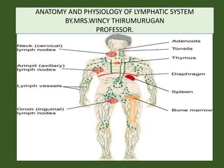 ANATOMY AND PHYSIOLOGY OF LYMPHATIC SYSTEM
BY.MRS.WINCY THIRUMURUGAN
PROFESSOR.
 