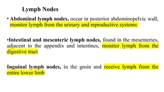 Lymph Nodes
• Abdominal lymph nodes, occur in posterior abdominopelvic wall,
monitor lymph from the urinary and reproductive systems
•Intestinal and mesenteric lymph nodes, found in the mesenteries,
adjacent to the appendix and intestines, monitor lymph from the
digestive tract
Inguinal lymph nodes, in the groin and receive lymph from the
entire lower limb
 