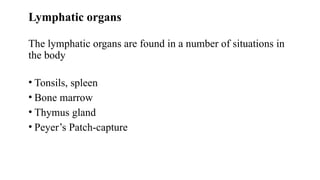 Lymphatic organs
The lymphatic organs are found in a number of situations in
the body
• Tonsils, spleen
• Bone marrow
• Thymus gland
• Peyer’s Patch-capture
 