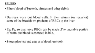 SPLEEN
• Filters blood of bacteria, viruses and other debris
• Destroys worn out blood cells. It then returns (or recycles)
some of the breakdown products of RBCs to the liver
• Eg; Fe, so that more RBCs can be made .The unusable portion
of worn-out blood is excreted in bile.
• Stores platelets and acts as a blood reservoir.
 