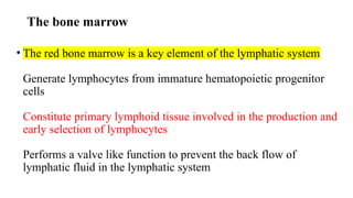 The bone marrow
• The red bone marrow is a key element of the lymphatic system
Generate lymphocytes from immature hematopoietic progenitor
cells
Constitute primary lymphoid tissue involved in the production and
early selection of lymphocytes
Performs a valve like function to prevent the back flow of
lymphatic fluid in the lymphatic system
 