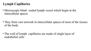 Lymph Capillaries
• Microscopic blind –ended lymph vessel which begin in the
intercellular spaces
• They form vast network in intercellular spaces of most of the tissues
of the body
• The wall of lymph capillaries are made of single layer of
endothelial cells
 