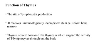 Function of Thymus
• The site of lymphocytes production
• It receives immunologically incompetent stem cells from bone
marrow
• Thymus secrete hormone like thymosin which support the activity
of T-lymphocytes through out the body
 