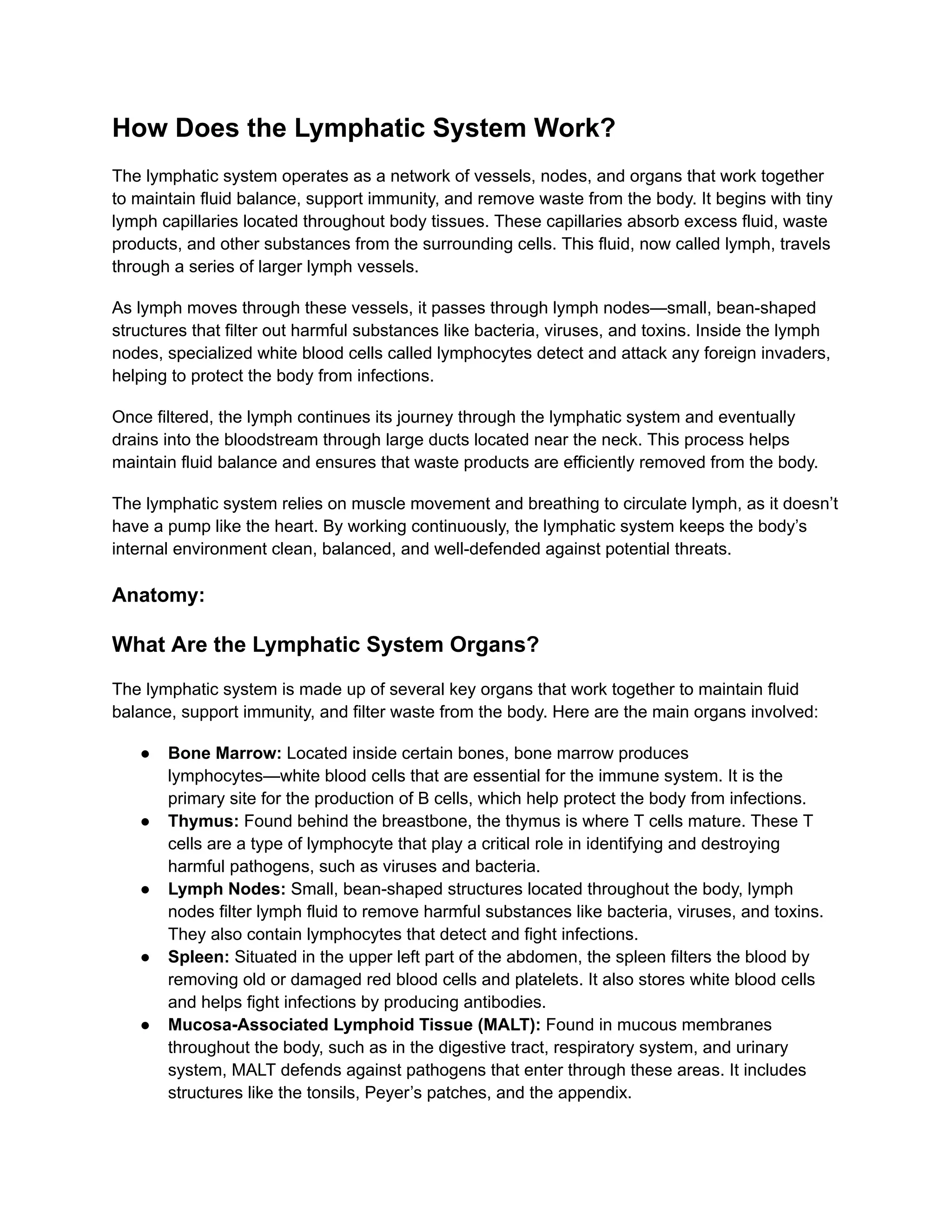 How Does the Lymphatic System Work?
The lymphatic system operates as a network of vessels, nodes, and organs that work together
to maintain fluid balance, support immunity, and remove waste from the body. It begins with tiny
lymph capillaries located throughout body tissues. These capillaries absorb excess fluid, waste
products, and other substances from the surrounding cells. This fluid, now called lymph, travels
through a series of larger lymph vessels.
As lymph moves through these vessels, it passes through lymph nodes—small, bean-shaped
structures that filter out harmful substances like bacteria, viruses, and toxins. Inside the lymph
nodes, specialized white blood cells called lymphocytes detect and attack any foreign invaders,
helping to protect the body from infections.
Once filtered, the lymph continues its journey through the lymphatic system and eventually
drains into the bloodstream through large ducts located near the neck. This process helps
maintain fluid balance and ensures that waste products are efficiently removed from the body.
The lymphatic system relies on muscle movement and breathing to circulate lymph, as it doesn’t
have a pump like the heart. By working continuously, the lymphatic system keeps the body’s
internal environment clean, balanced, and well-defended against potential threats.
Anatomy:
What Are the Lymphatic System Organs?
The lymphatic system is made up of several key organs that work together to maintain fluid
balance, support immunity, and filter waste from the body. Here are the main organs involved:
●​ Bone Marrow: Located inside certain bones, bone marrow produces
lymphocytes—white blood cells that are essential for the immune system. It is the
primary site for the production of B cells, which help protect the body from infections.
●​ Thymus: Found behind the breastbone, the thymus is where T cells mature. These T
cells are a type of lymphocyte that play a critical role in identifying and destroying
harmful pathogens, such as viruses and bacteria.
●​ Lymph Nodes: Small, bean-shaped structures located throughout the body, lymph
nodes filter lymph fluid to remove harmful substances like bacteria, viruses, and toxins.
They also contain lymphocytes that detect and fight infections.
●​ Spleen: Situated in the upper left part of the abdomen, the spleen filters the blood by
removing old or damaged red blood cells and platelets. It also stores white blood cells
and helps fight infections by producing antibodies.
●​ Mucosa-Associated Lymphoid Tissue (MALT): Found in mucous membranes
throughout the body, such as in the digestive tract, respiratory system, and urinary
system, MALT defends against pathogens that enter through these areas. It includes
structures like the tonsils, Peyer’s patches, and the appendix.
 
