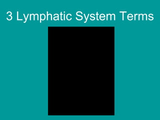 3 Lymphatic System Terms 